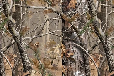 1280x1024px Amazing Realtree Wallpapers