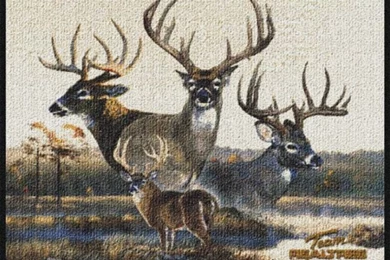 Camouflage Area Rugs: Team Realtree Bucks VI Rugs