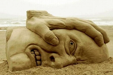 Weird Funny Pictures 3 Free Wallpapers   Funnypicture.org