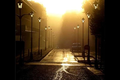 Photographic Wallpapers 2015   Grasscloth Wallpapers