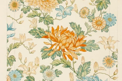 The Silvern Series: Photographs From The Collections Of The South ...