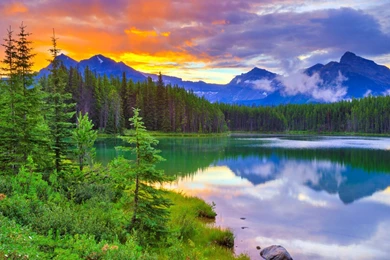 Hd Desktop Images, Windows Backgrounds, Green, Sky, Plants ...