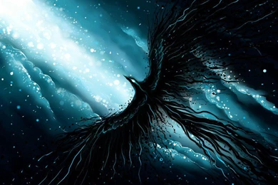 Immortal Freedom   (