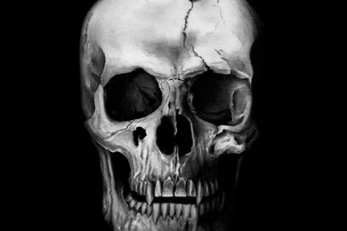 Wicked Vampire Skull Love The Details