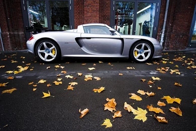 Edo Competition Porsche Carrera GT Picture