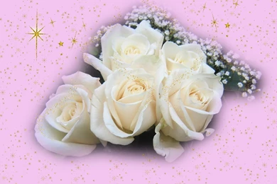 Widescreen Christmas Wallpapers   Roses And Stars