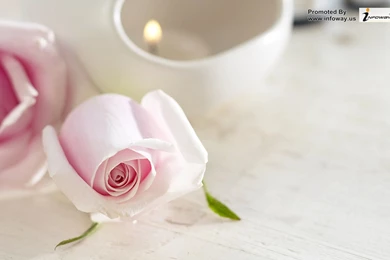 Black And White Nature Wallpapers   Photo 191 Of 267