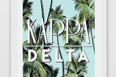 Boulevard Palm Trees Kappa Delta
