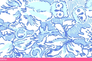 An Unofficial Collection Of Lilly Pulitzer Prints