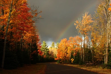 Autumn Free Wallpapers   Autumn Road Wallpapers   HD Wallpapers 93082