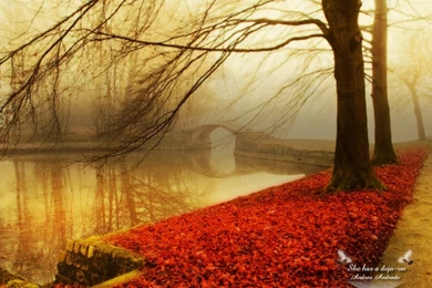 Trololo Blogg: Attum Wallpapers