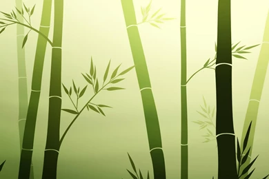 Zen Wallpapers For Desktop To Make Beautiful Desktop