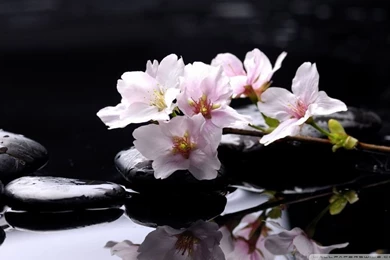 Zen Stones Backgrounds HD Desktop Wallpapers : High Definition ...