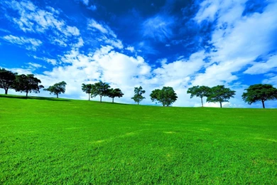 Green Landscape Wallpapers   654922