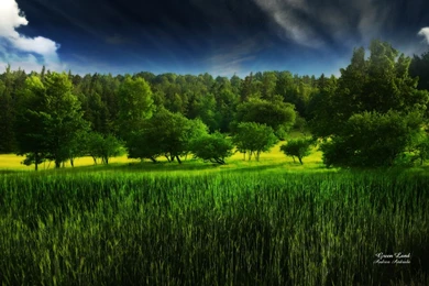 Green Land By AndreaAndrade On DeviantArt