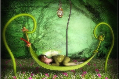 Magic Green Land   (