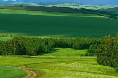 960x800 Popular Mobile Wallpapers Free Download (259)   960x800 ...