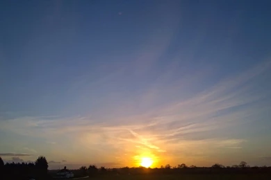 The Bee Writes....: February 2015