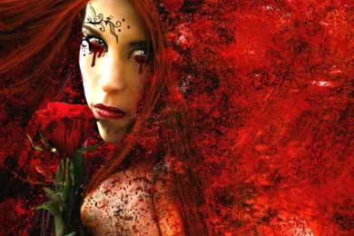 Hd Images, Windows Wallpaper, Desktop Images, Picture, High ...