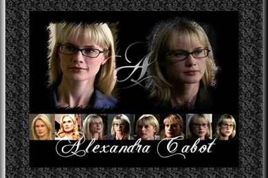 Alex Cabot Wallpapers   Law And Order SVU Wallpapers (2337167)   Fanpop