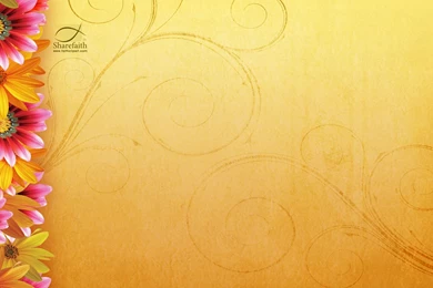 Free background images large flowers