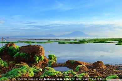 Best Scenery 4K Or HD Wallpapers For Your PC, Mac Or Mobile Device