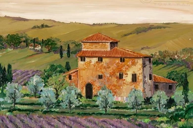 Scenic Wall Mural Morning Fox Ideas   Wallpapers Mural Ideas   12764