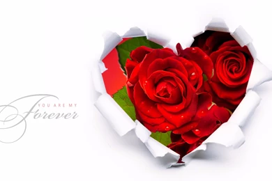 You Are My Forever Love 4K Wallpapers