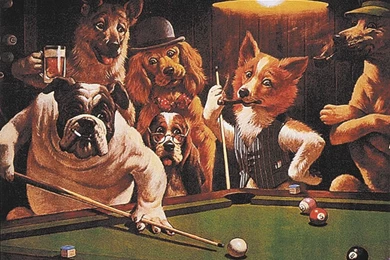 Classically Shitty: The Hustler