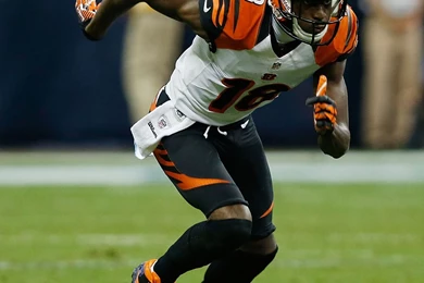 Male Celebrity Wallpapers HD Free Desktop Backgrounds Download