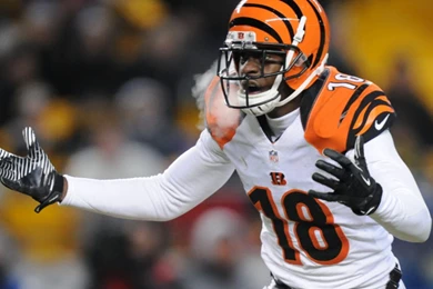 Three and out: Were Vikings Considering Drafting Dalton ...