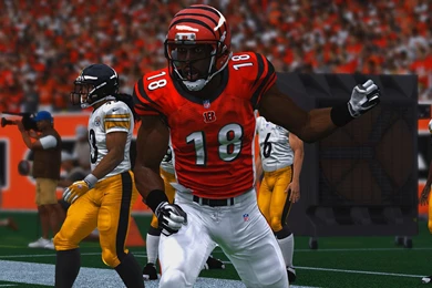 The Photographic Side Of Madden NFL 15   Page 90   Operation ...