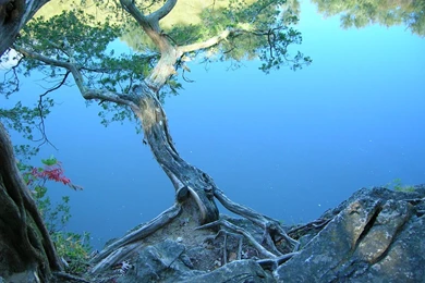 Friday Photo: Serene « Here To Create