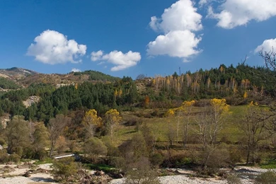 Fields: Blue Sky Trees Hills Clouds Serene Nature Rocks Free ...