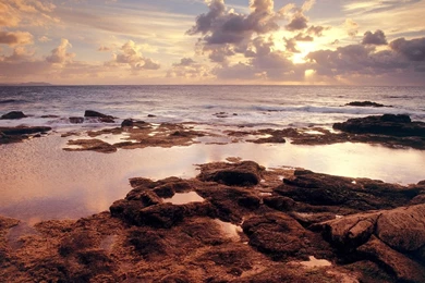 1600x480 Wallpapers Page 111: Winter Snow Tree Nature Landscape ...