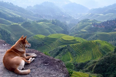 March 2011 Desktop Thread Post Your Source Images, Dummies ...