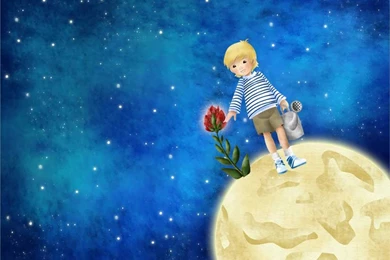 The Little Prince Favourites By R08r17 On DeviantArt