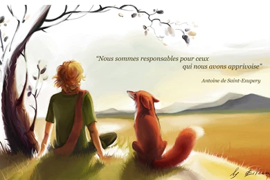 The Little Prince   Photo Wallpapers, Pictures With The Little Prince