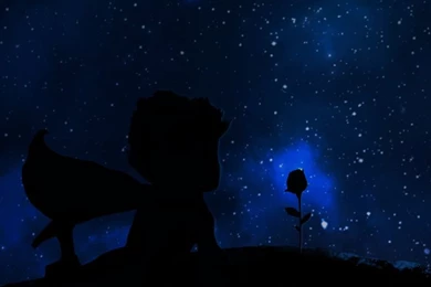 Le Petit Prince Wallpapers (The Little Prince Wallpaper)