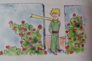 Adventures Of The Little Prince Wallpapers And Images   Wallpapers ...