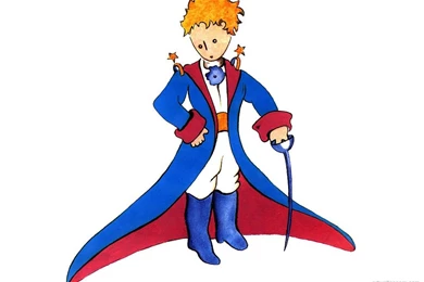 The Little Prince Quotes Chapters. QuotesGram