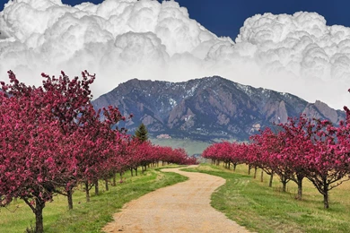 Blooming Spring In Flatirons, Colorado – Extreme Outdoor Hiking ...