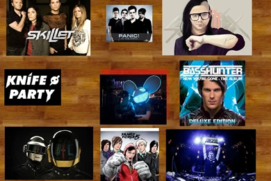 Deadmau5, Skillet, Skrillex, Daft Punk, DJ Hardwell, Basshunter ...
