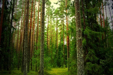 Sunset Bluestem Praire Colorado Springs Wallpapers