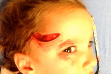 2 Coyotes That Attacked Children In Colorado Springs Euthanized ...