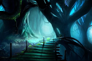 114 Forest HD Wallpapers