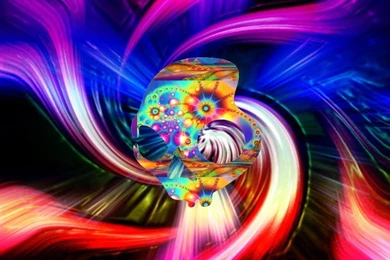 1024x768 Skullcandy Wallpaper 547.jpg Photo By Gabiisogay ...