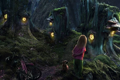 Forest Computer Wallpapers, Desktop Backgrounds