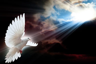 Cool Artworks, Effects, Download Wallpapers, Colors, Wallpapers ...