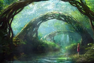 Fantasy Forest Wallpapers   Love It Very Intriguing